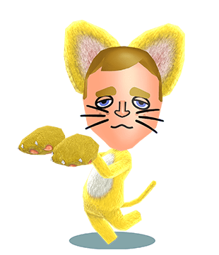 Miitopia (3DS) promotional art for a Cat hero